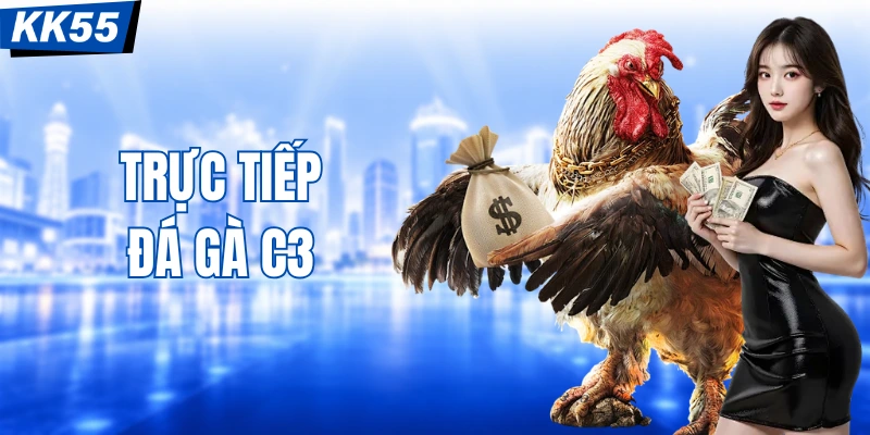 Cẩm Nang Chọn Kèo Trực Tiếp Đá Gà C3 KK55 Cực Hiệu Quả